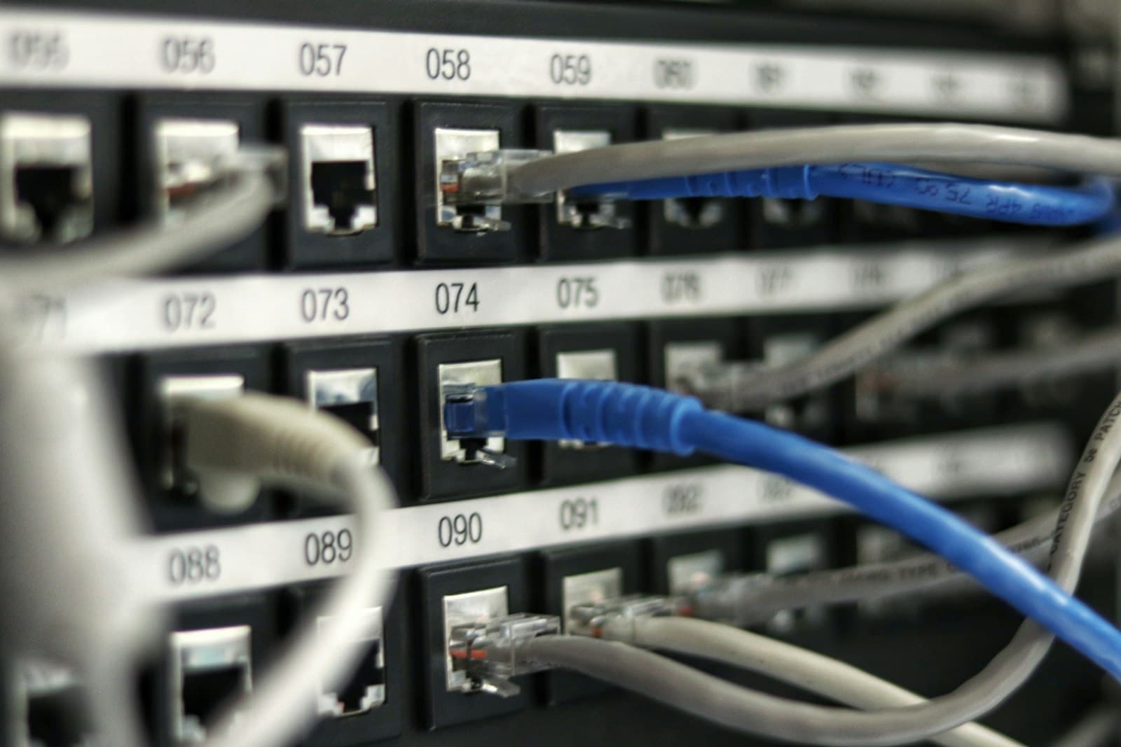 Photo: Jordan Harrison, Unsplash Blue network cables plugged into a patch panel